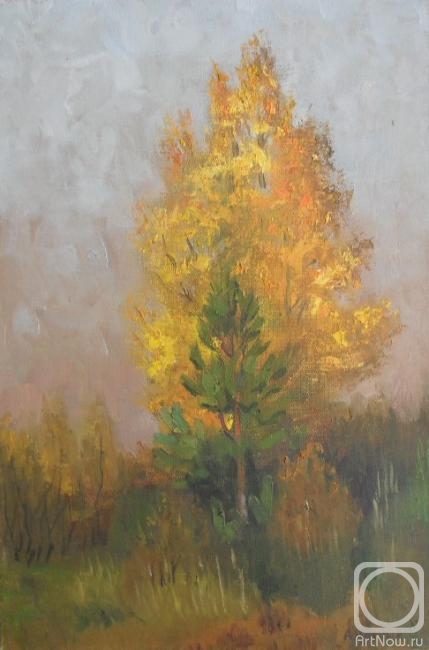 ������� ������ �� ������. ������ ���������. ������� �����