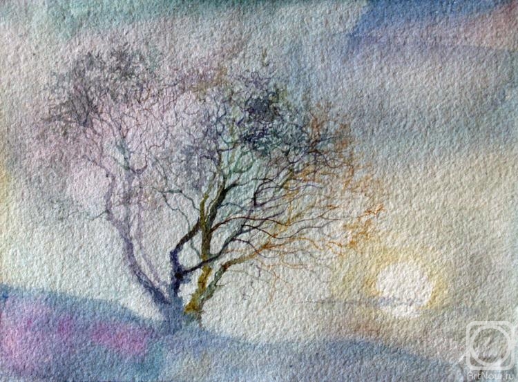 �������. ������� ������. ��������