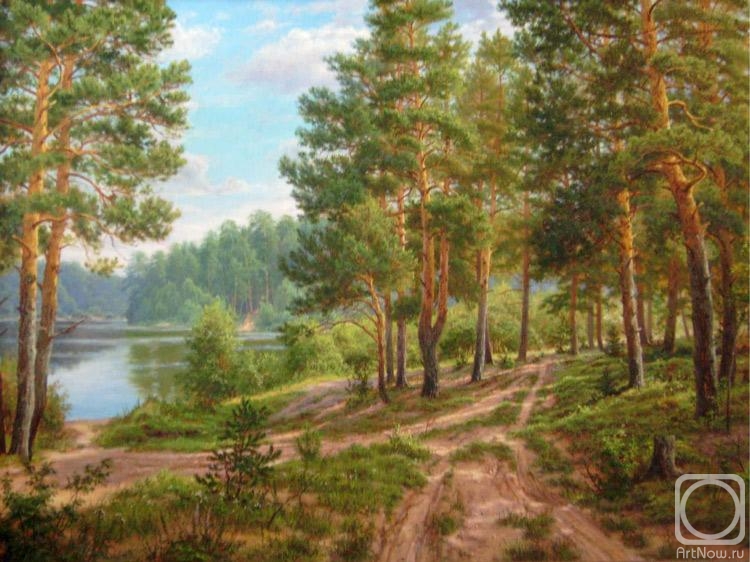 Davutov ilfat. Road in the forest