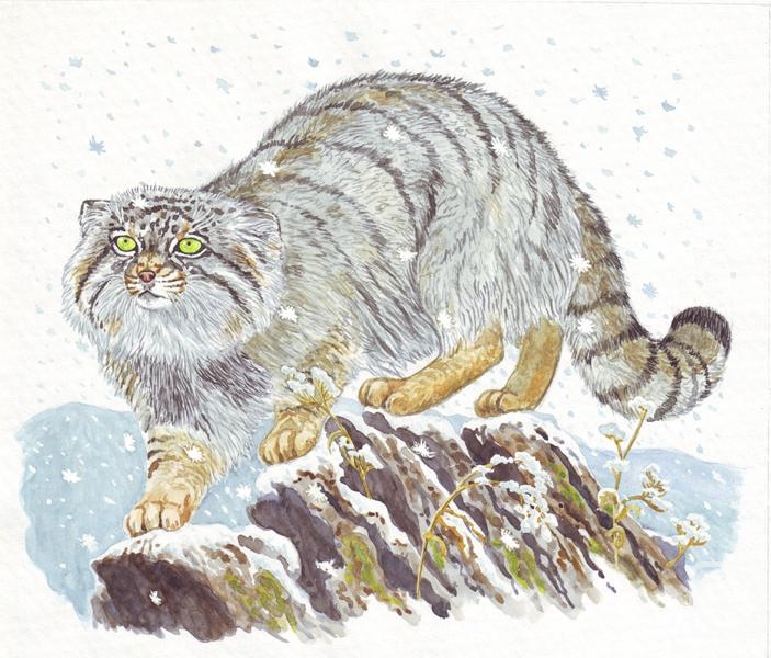 �������. ����� �������. �� �� ��� ���������