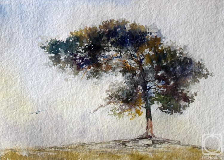 �������. ������� ������. �������