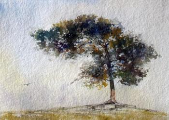 ������� ��������