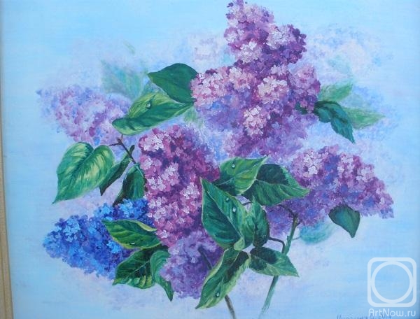 ������� ������ �� ������. ������� �����. ���� ������