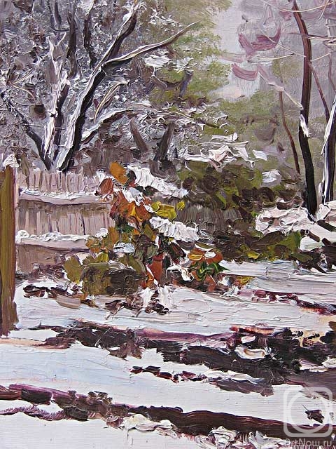 Seng Anatoliy. The first snow (etude)