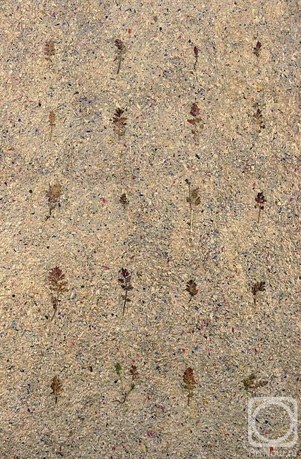 ������� ���������. Herbarium-04