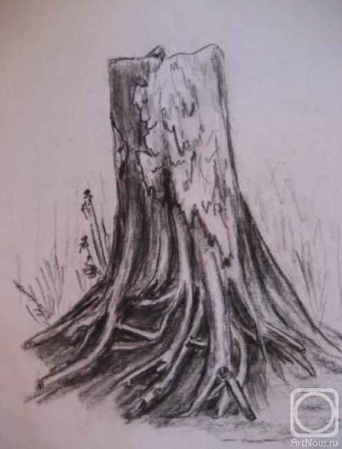 �������. ������ ����. ����