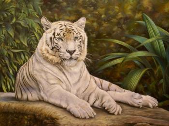 Bengalese a tiger. Kuprashvili Hariton
