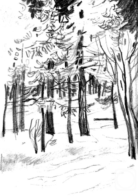 �������. �������� ����. ��������� �������� 1 � 1/85