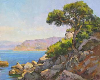 ������� ��������� �����. ����