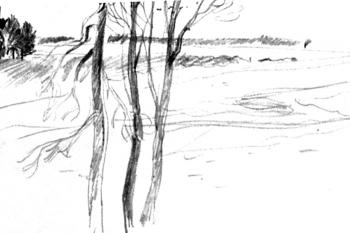 ������� ���������� �������� 1 � 29/78�