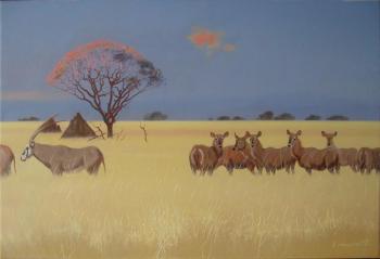 Antelopes. Beysheev Kemel