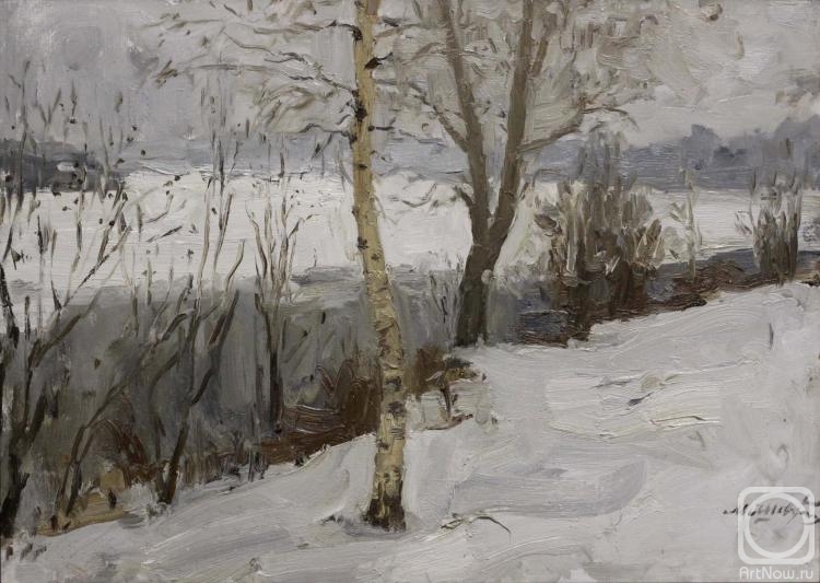 Shevchenko Michael. Winter