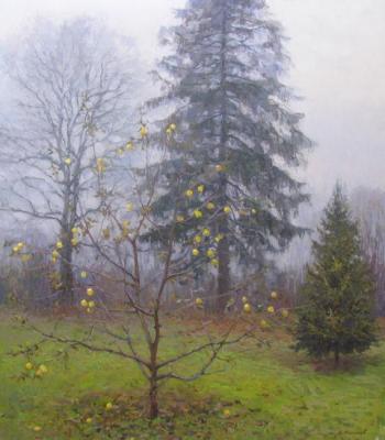 ������� ������������ ������