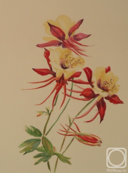 �������. �������� ������. 353 (���������)