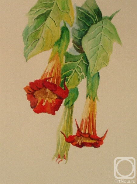 Lukaneva Larissa. Untitled