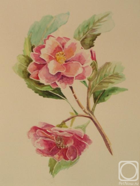 �������. �������� ������. 356 (�������)