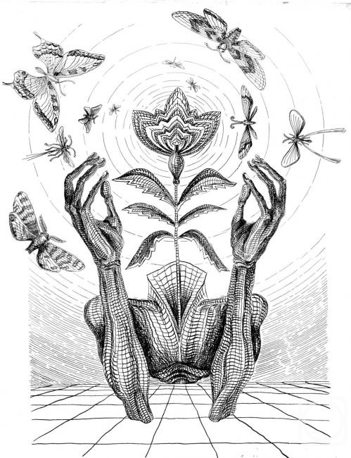 �������. ������ ������. �����