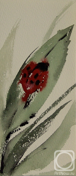 ���� �����. ����� �������