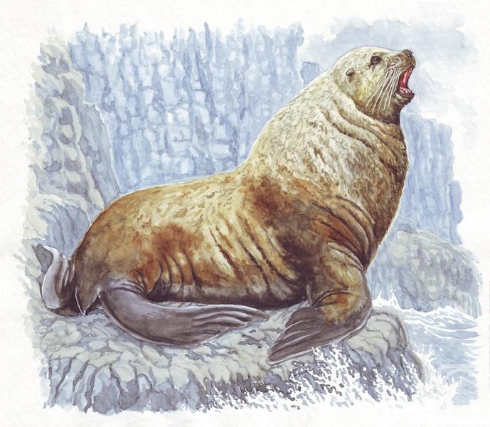 �������. ����� �������. ����� ��������������� ������������ ��������� �� ����, ������������ ���������� ���������� ������