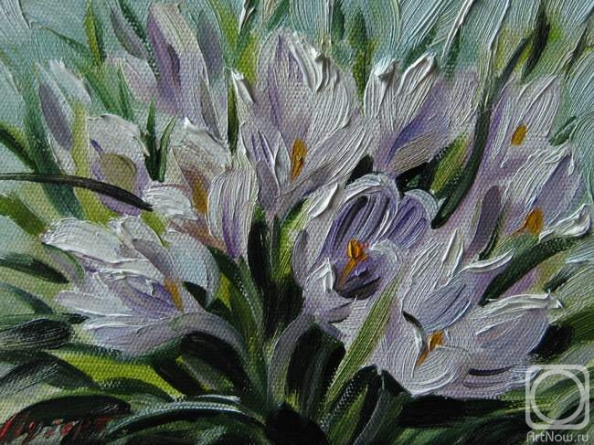 ������� ������ �� ������. ������ �������. �����������