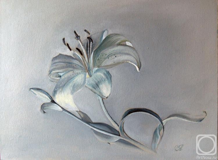 ������� ������ �� ������. ������� ������. ��������