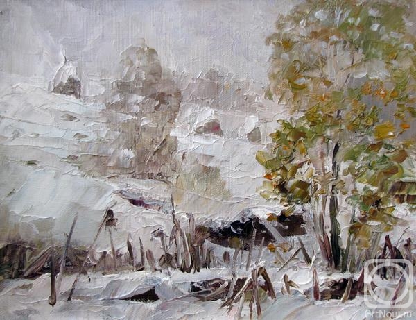 Rodionov Igor. Transcarpathia. The first snow