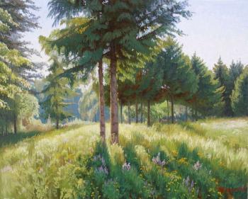 Illuminated by the sun