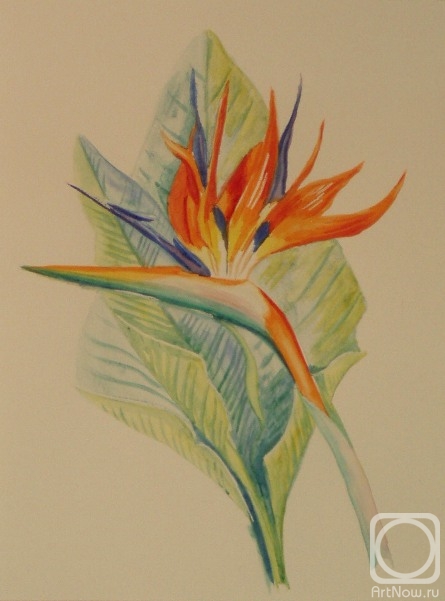 �������. �������� ������. 359 (���������)