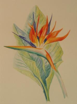 ������� �359 (���������)�