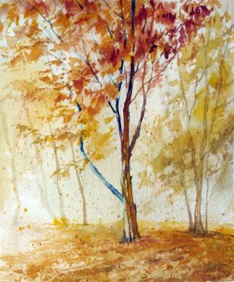 ������� ���������