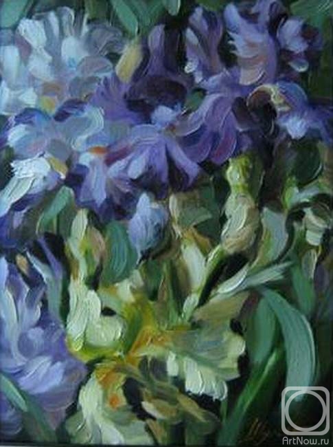 ������� ������ �� ������. ������ �������. �����