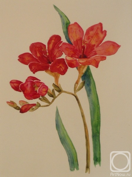 �������. �������� ������. 361 (������)