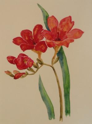 ������� �361 (������)�