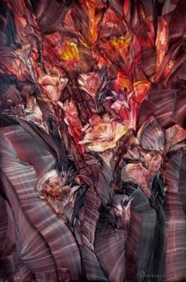 ������� ������������ ������