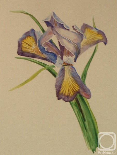 �������. �������� ������. 362 (����)