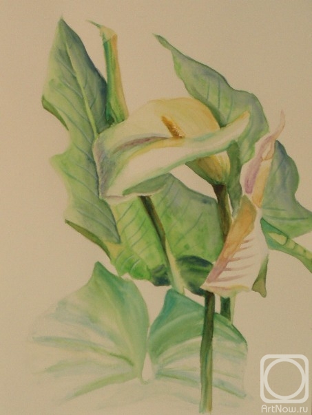 �������. �������� ������. 364 (�����)