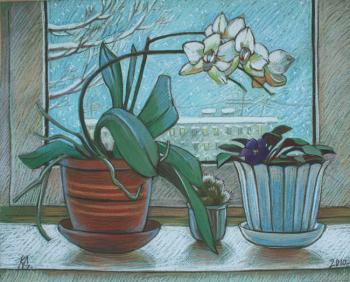 ������� �������� ����� ������...�