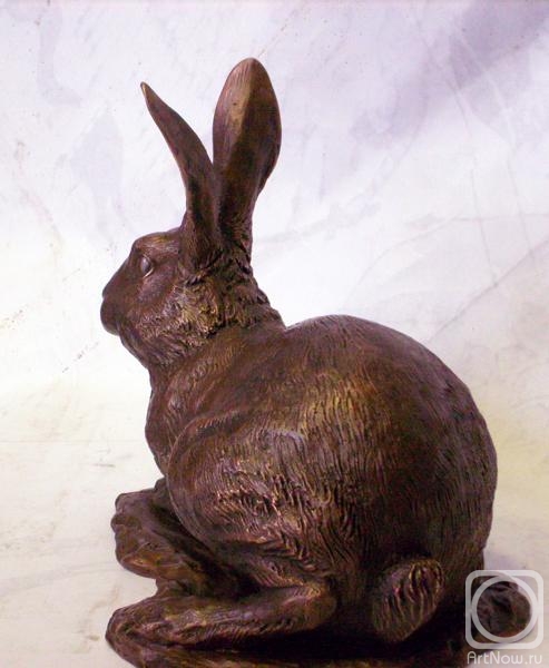 Borovykh Vadim. Rabbit