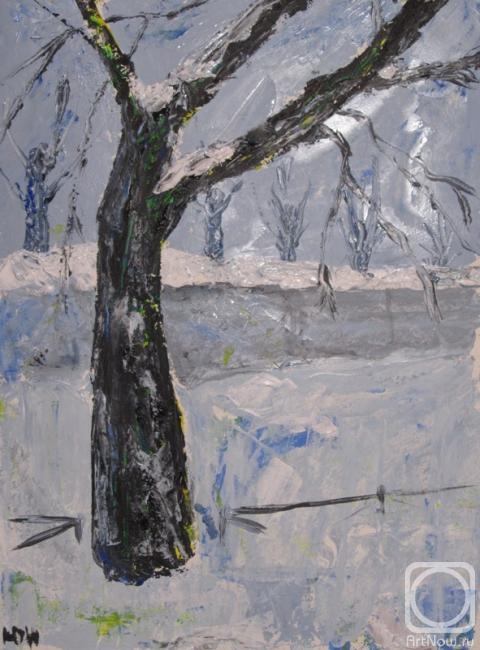 �������. ������ ����. ���� � �������