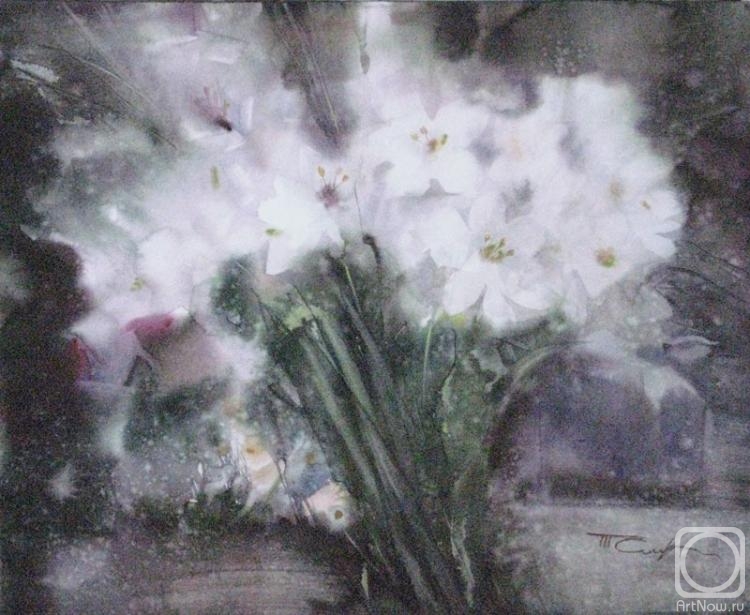 �������. ������� �������. ����� �����