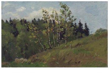 Young birch trees on the slope. Arepyev Vladimir