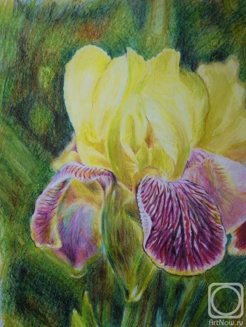 �������. ��� �����. �������� ����!