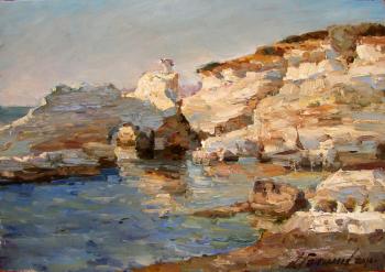 Evening on the shores of Coral Bay. Galimov Azat