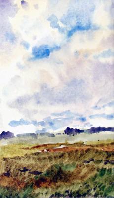 ������� �������� ����