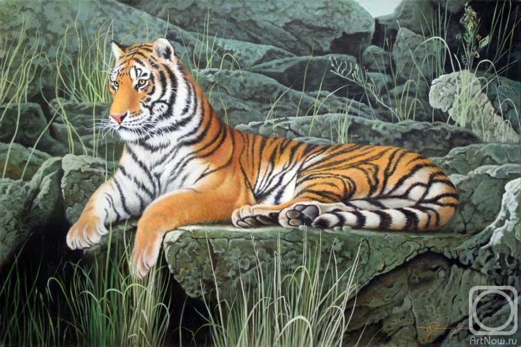 Elokhin Pavel. Tiger