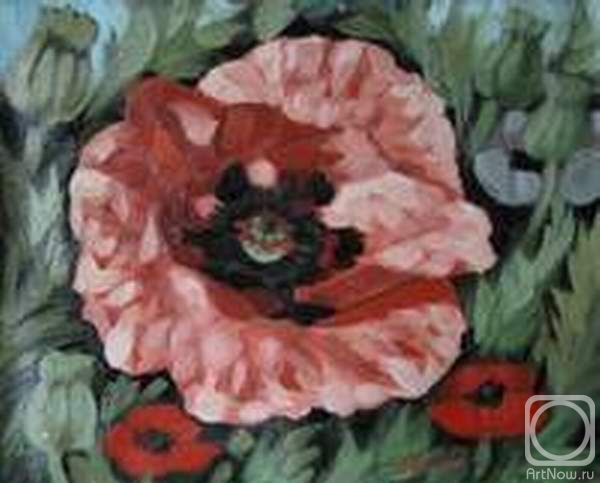 ������� ������ �� ������. ������ �������. ������� ���