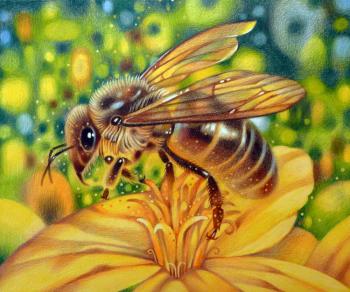 Bee. Belova Asya