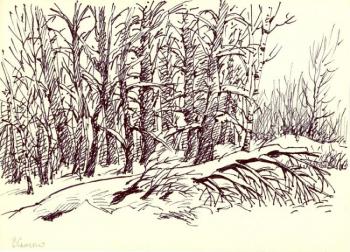 Winter 2010. Semerenko Vladimir