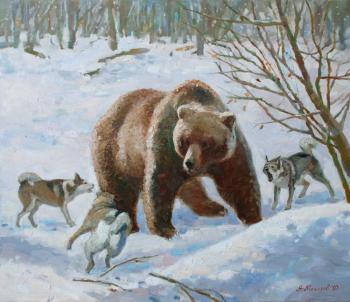 Hunting.Unequal battle. Makarov Anton