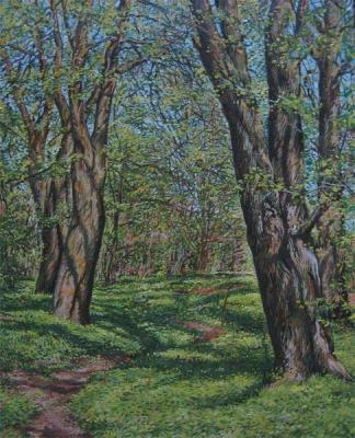 ������� ����